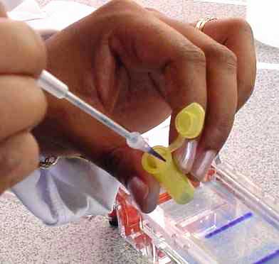 Close up of micro-pipette use