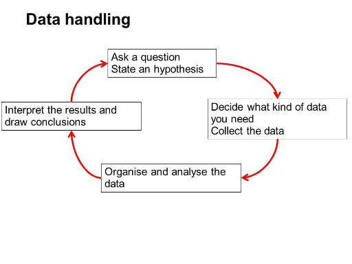 Data Collection Cycle slide