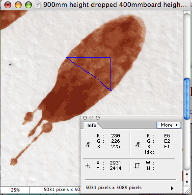 Using Photoshop to measure simulated bloodstains