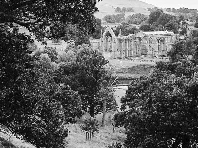 Bolton Priory from the top path
