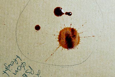 Mock blood stain showing secondary spatter from the initial impact
