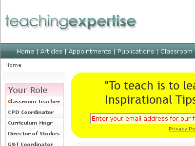 teaching expertise web site made from links and commerical blogs