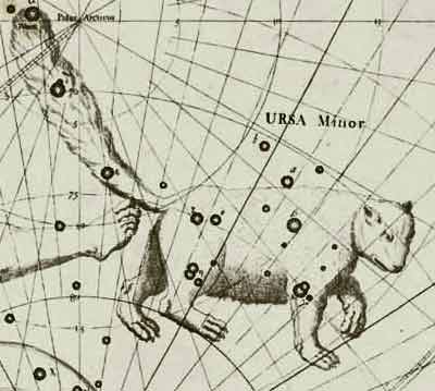 Ursa Minor from Historia britannica coelestis